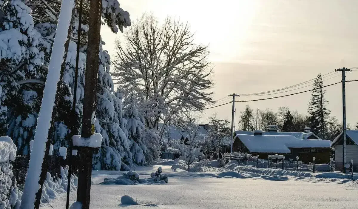 Какая погода ждет казахстанцев 16 февраля