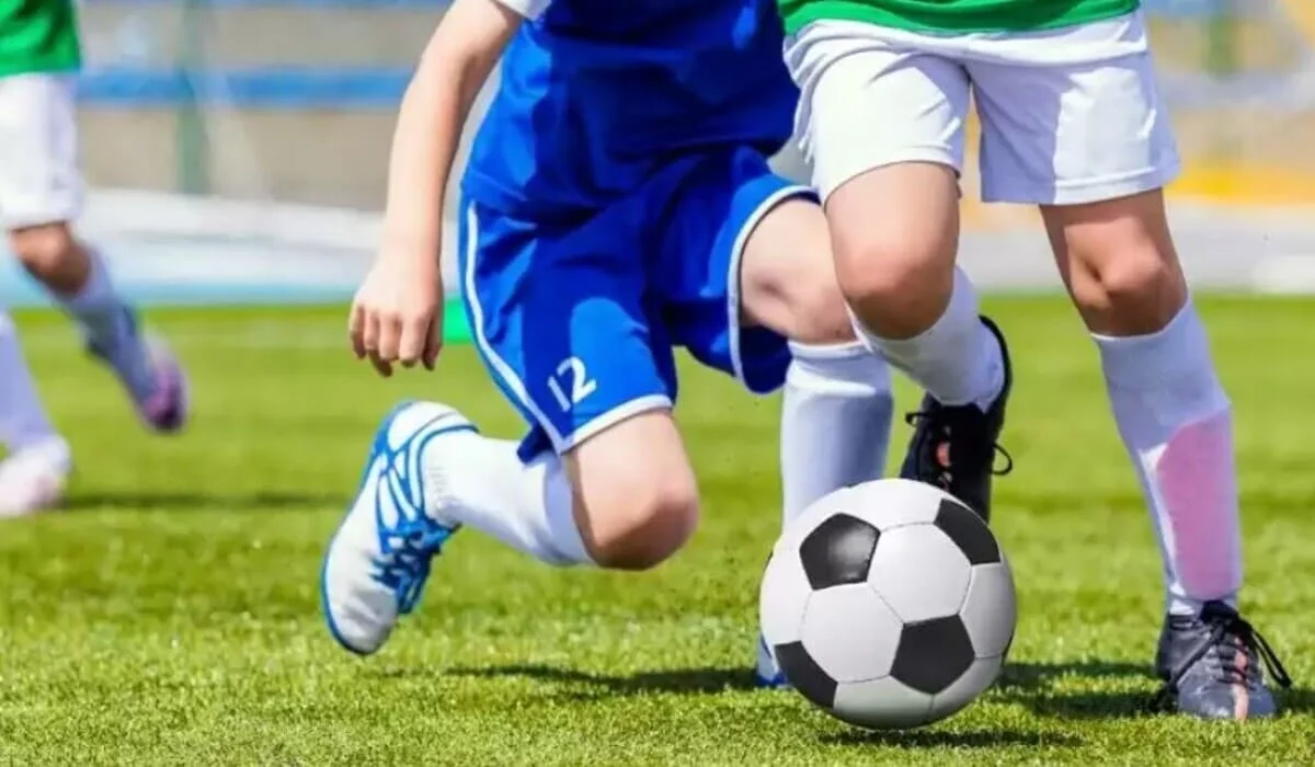 Фиктивные занятия по ArtSport: суд вынес приговор в Кокшетау