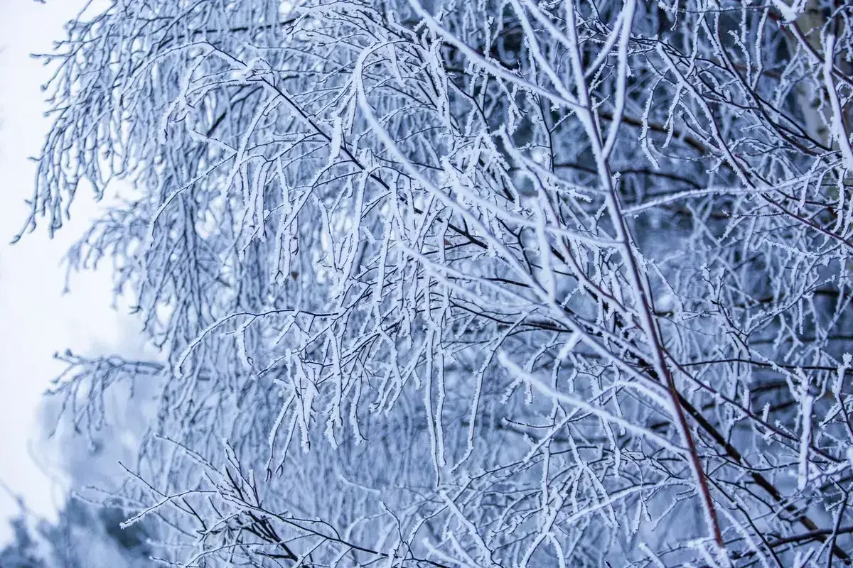 Какая погода ждет казахстанцев 17 февраля