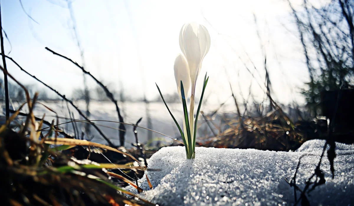 Синоптики рассказали, каким будет март 2026 года в Казахстане