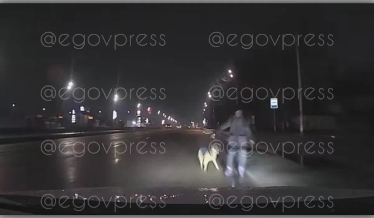 Пешехода с собакой сбили в Алматы (ВИДЕО)