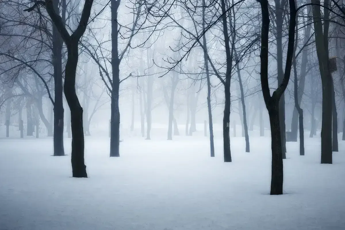 В каких регионах Казахстана объявили штормовое предупреждение