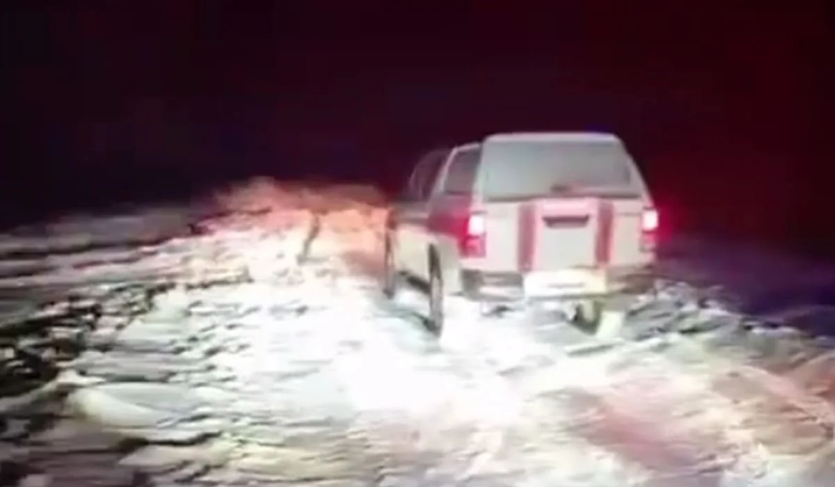 Двух граждан Китая спасли в степи Акмолинской области (ВИДЕО)