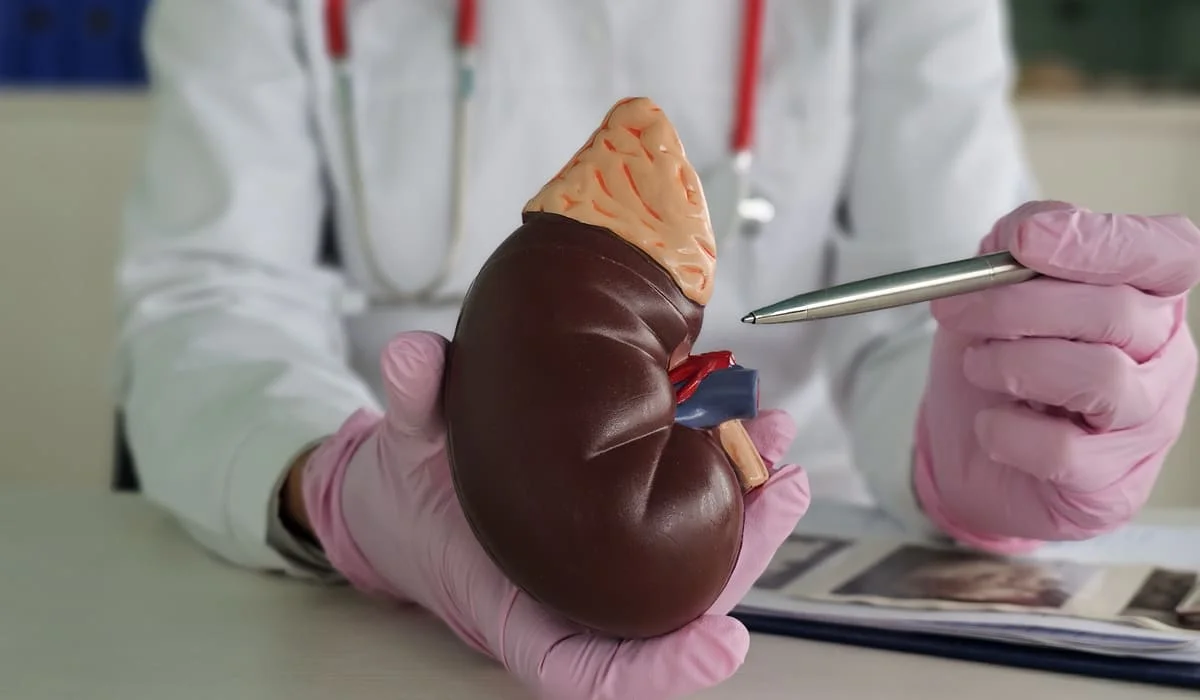 Казахстанец пытался продать собственную почку за 13 млн тенге