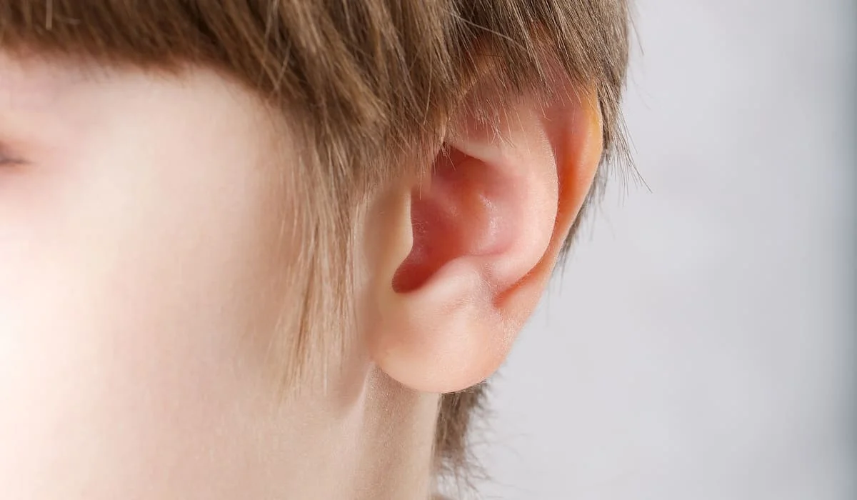 Мужчине, схватившему пасынка за ухо, вынесли приговор в Костанайской области