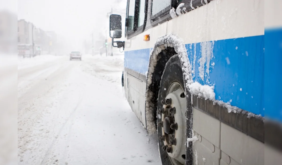Застрявших в степи иностранцев спасли сотрудники МЧС в Актюбинской области (ВИДЕО)