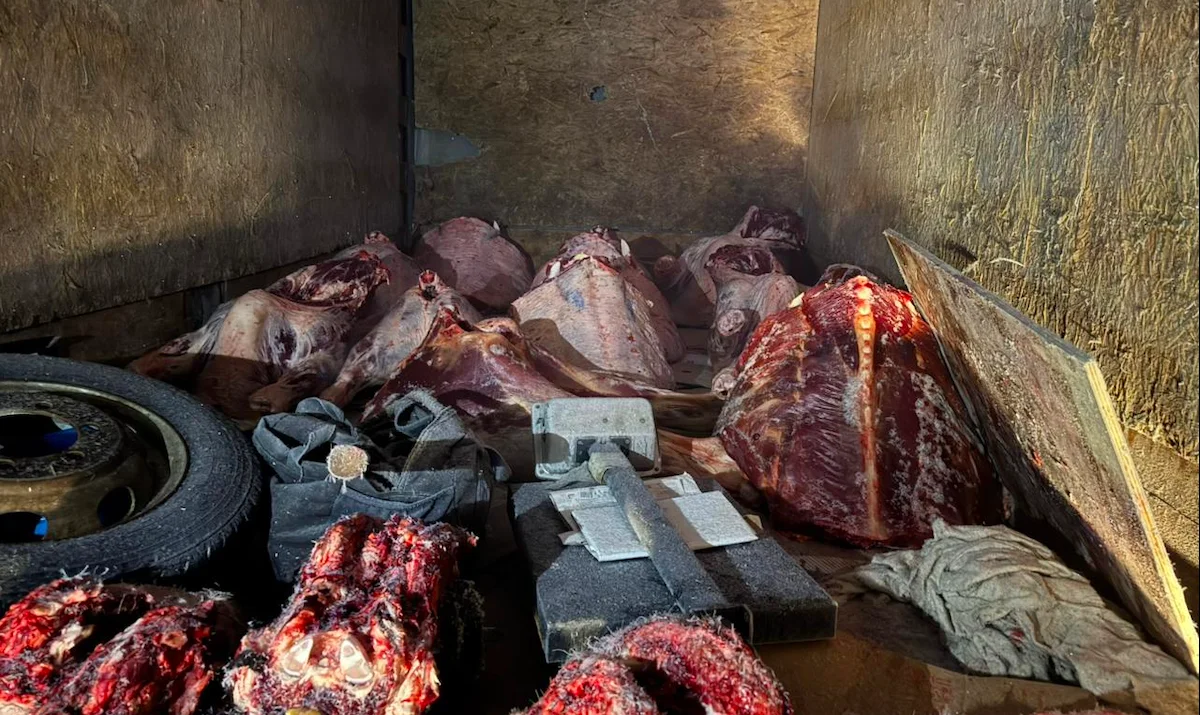 Продавцов «нелегального» мяса поймали в Акмолинской области