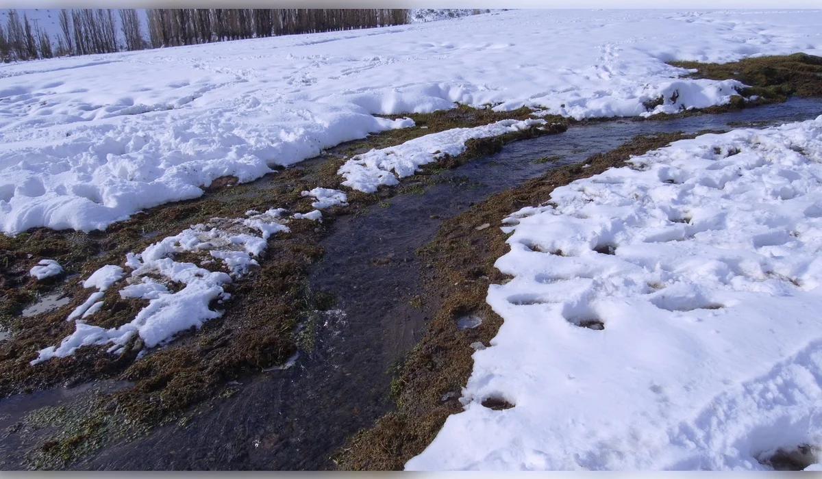 Больше 700 новых родников нашли в Казахстане
