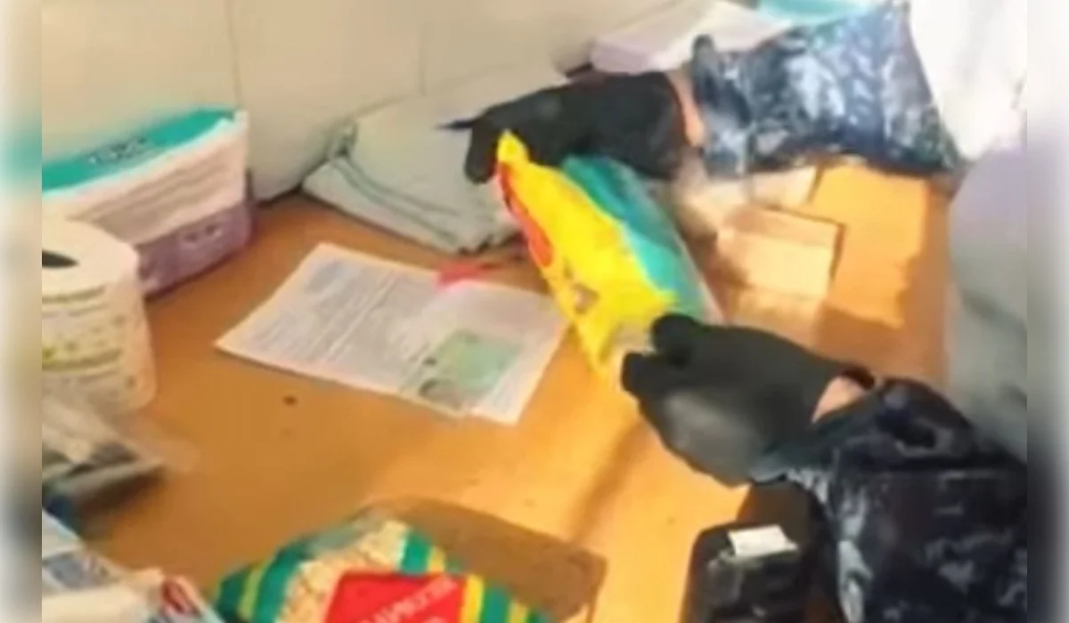 Смартфон в упаковке салфеток пытались передать заключенному в Павлодаре