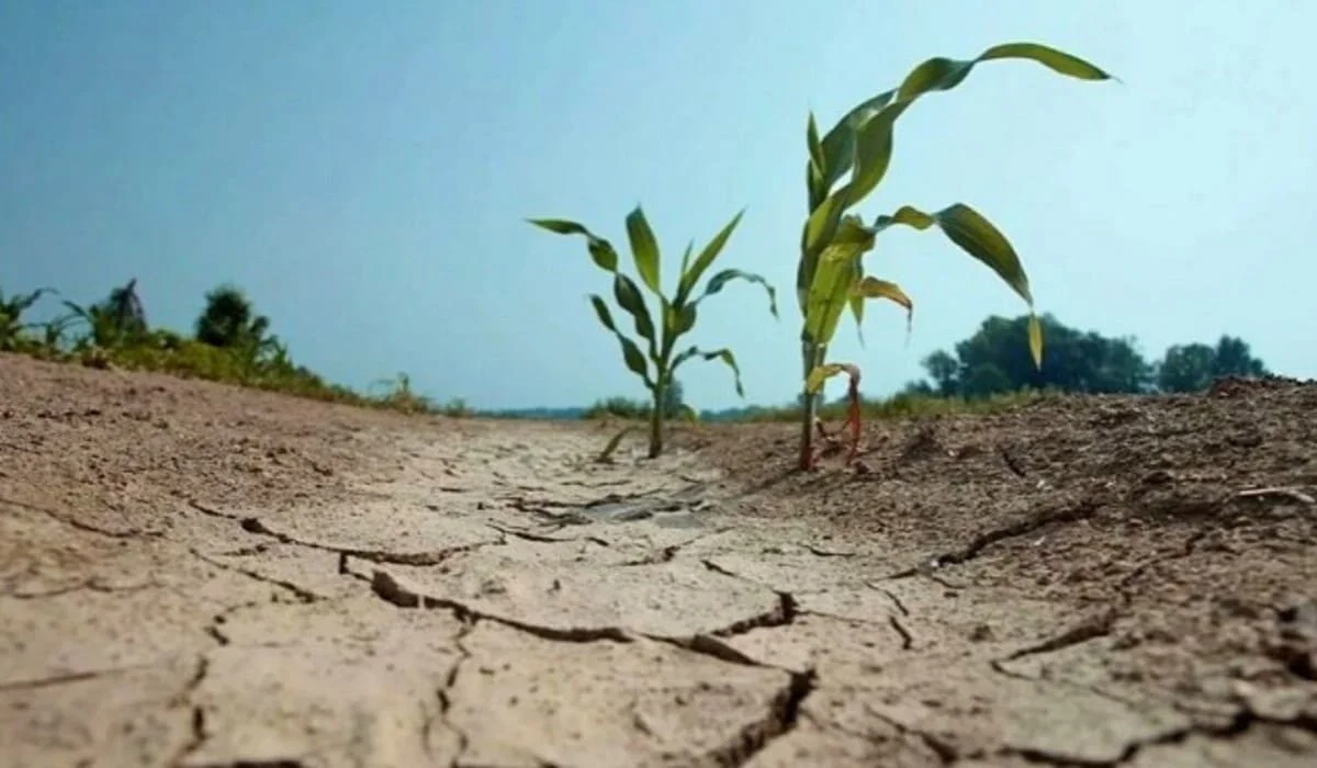 Засуха ожидается на юге Казахстана летом 2026 года – Минводы