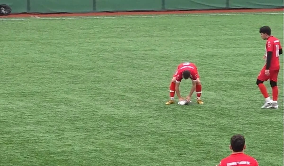 Футболист случайно сбил чайку и сделал ей массаж сердца – видео растрогало сеть