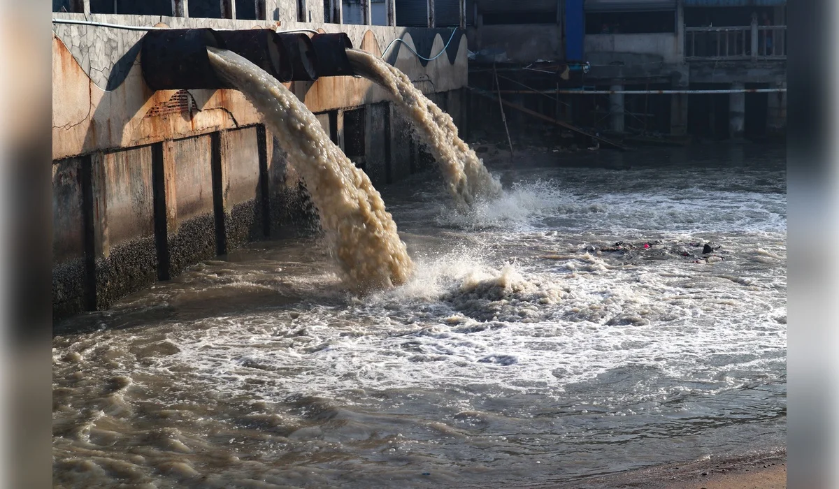 Больше 50 млн тенге взыскали с «экологических нелегалов» в Костанайской области