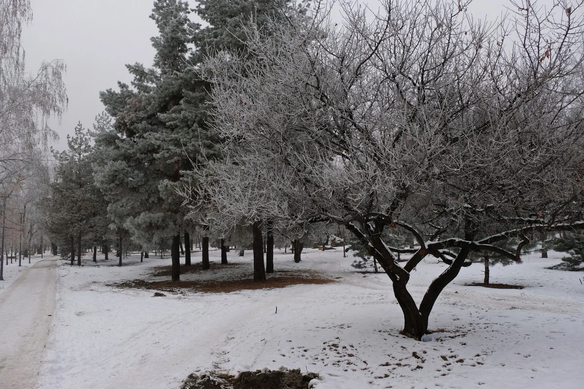 На востоке до -40: штормовое предупреждение объявили в Казахстане на 26 февраля