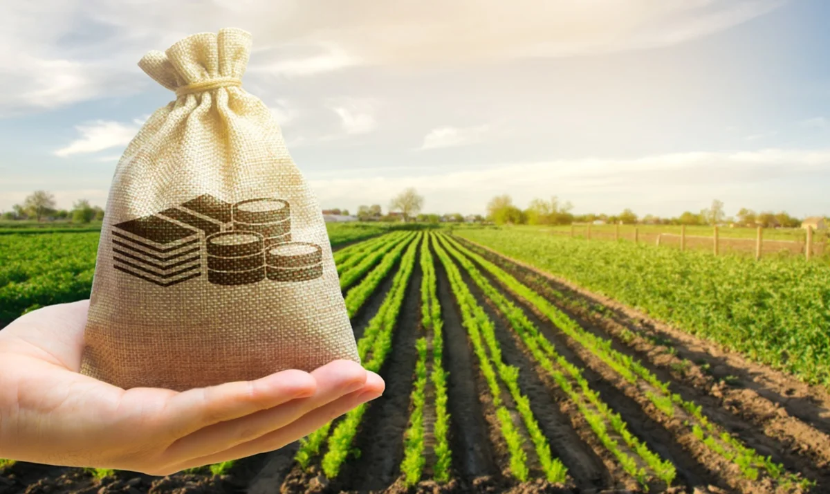 «Аграрная кредитная корпорация» начала прием заявок на субсидирование части страховых премий в АПК