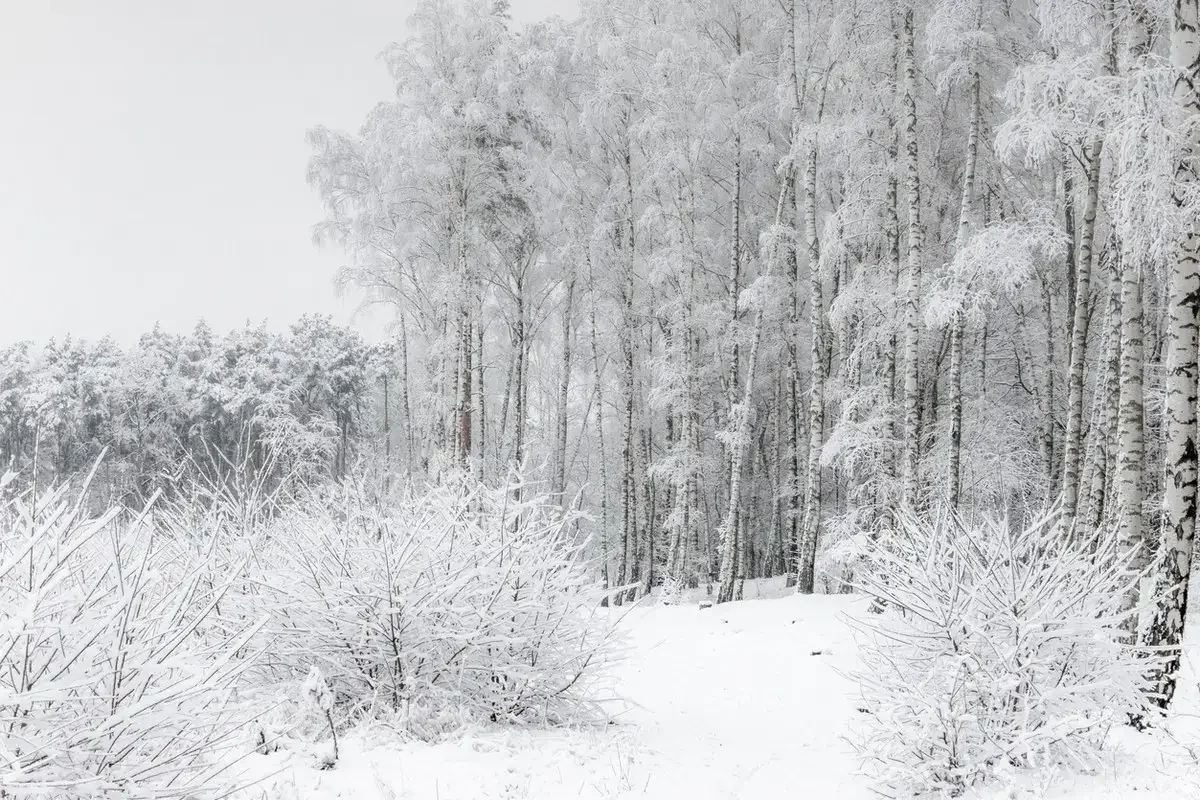 В каких регионах Казахстана объявили штормовое предупреждение