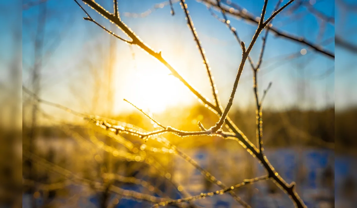 Каким будет март в Казахстане, рассказали синоптики