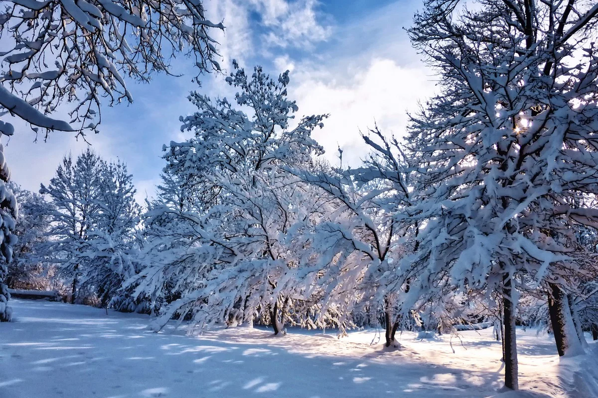 Прогноз погоды в Казахстане на 2 марта представили синоптики