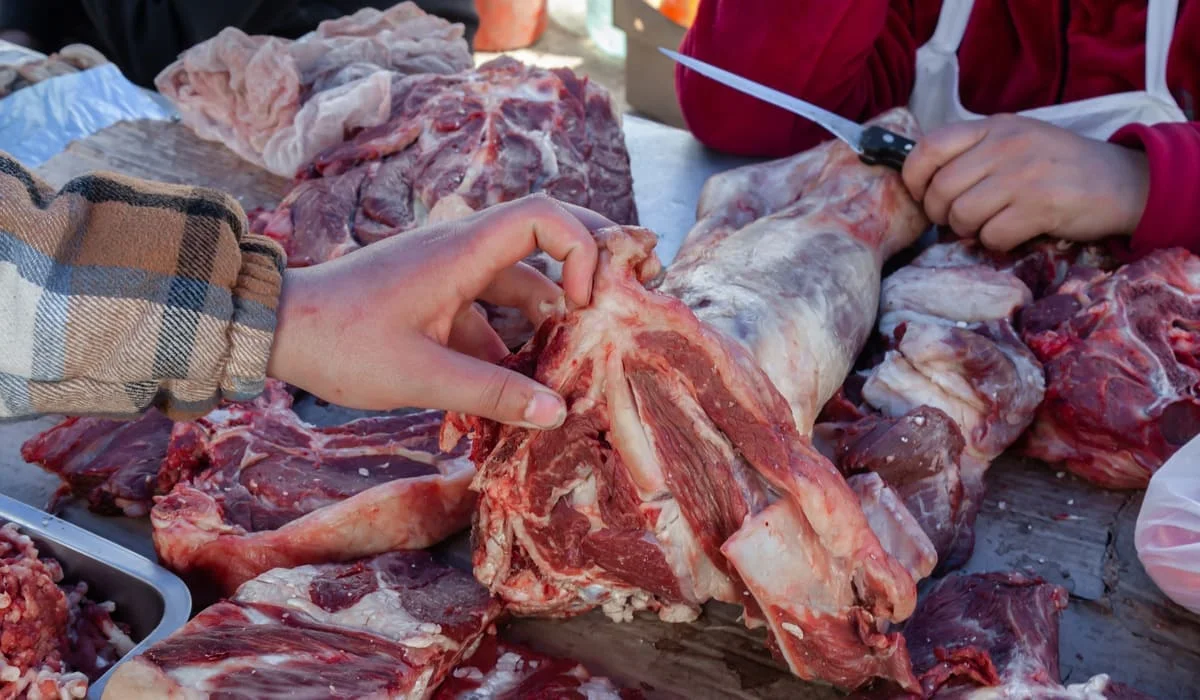 Подпольный мясной цех накрыли в частном секторе Астаны (ВИДЕО)