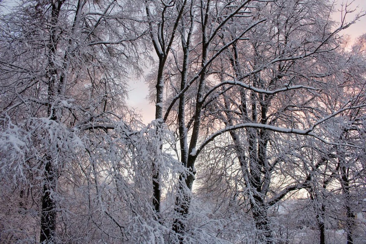 Какая погода ожидается в Казахстане 5 марта