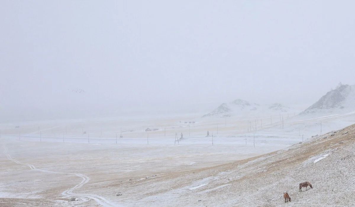 Движение на трассе в Атырауской области ограничили из-за тумана