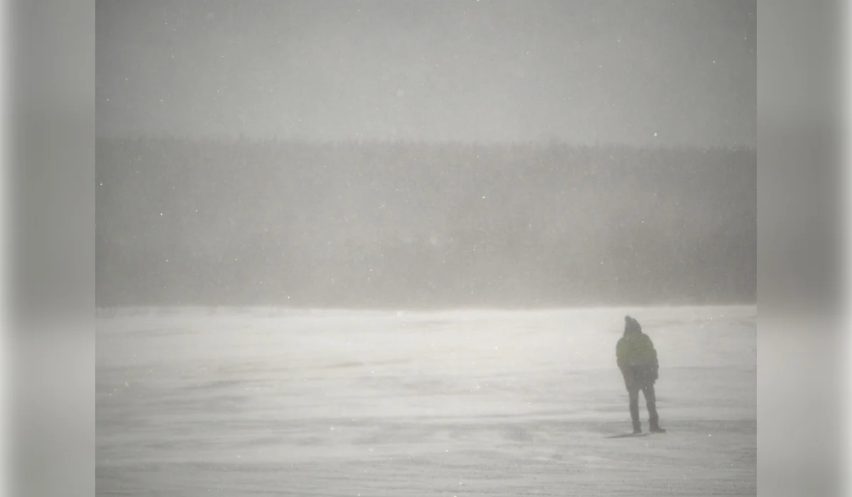 Скотник замерз насмерть в метель в Павлодарской области