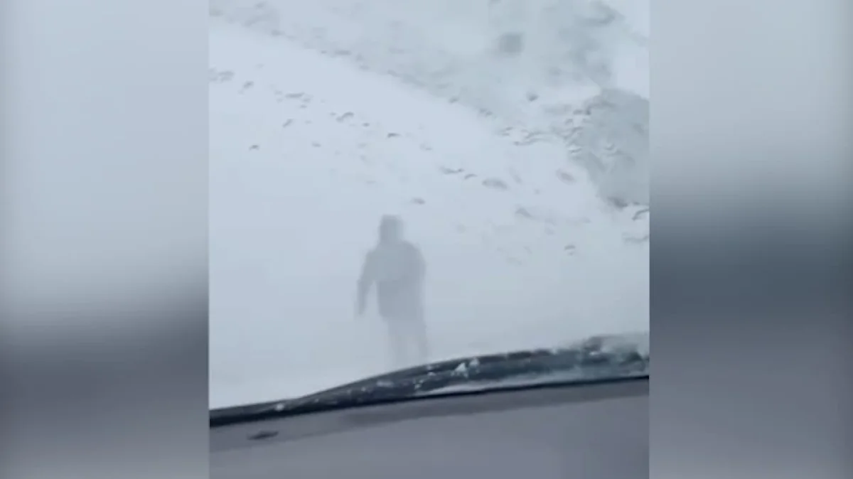 Шла впереди в буран: учительница вывела колонну машин из снежного плена в Павлодарской области (ВИДЕО)