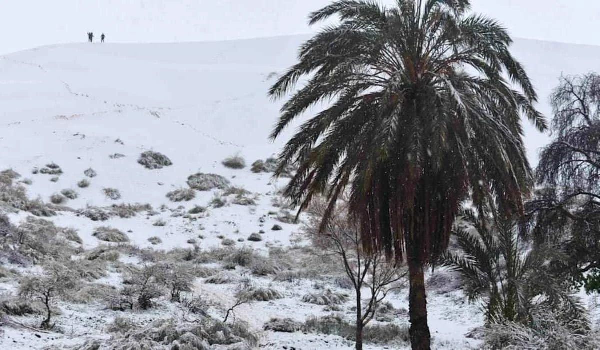 В Сахаре выпал снег