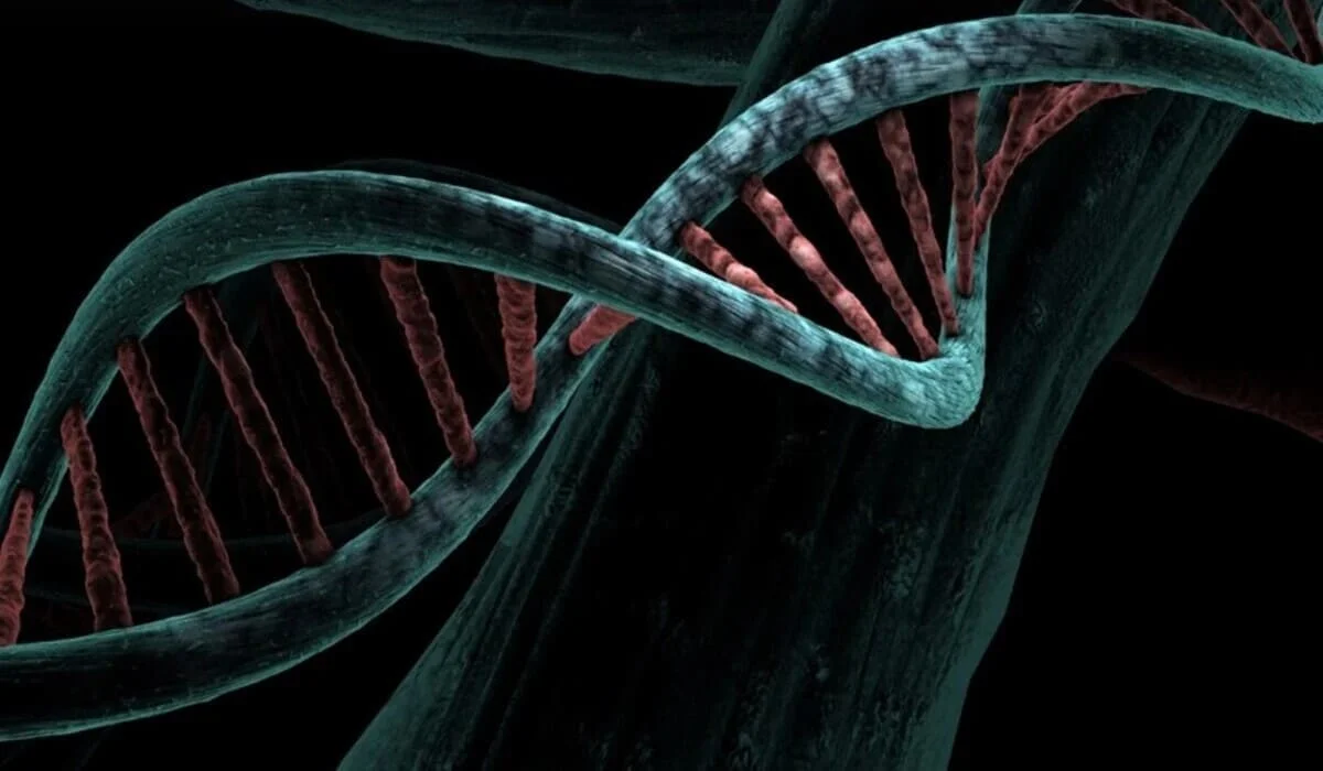 Массовый ДНК-тест из-за нераскрытого убийства проведут в одном из городов Германии