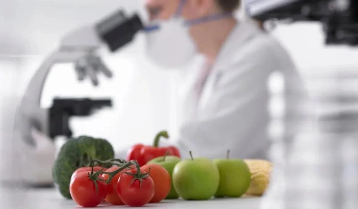 145 нарушений за два месяца: что ввозят в Казахстан без сертификатов и с вредителями