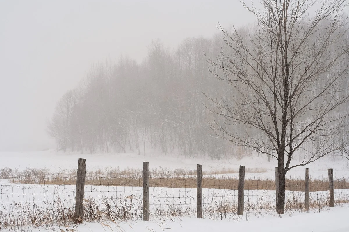 Туман накроет Казахстан 18 марта, объявлено штормовое предупреждение