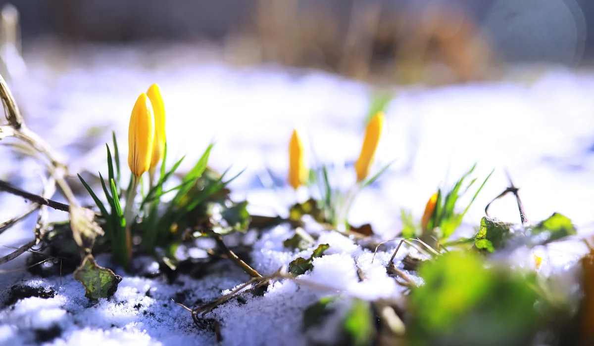 До +23 и без осадков: синоптики рассказали о погоде в Казахстане на 19-21 марта