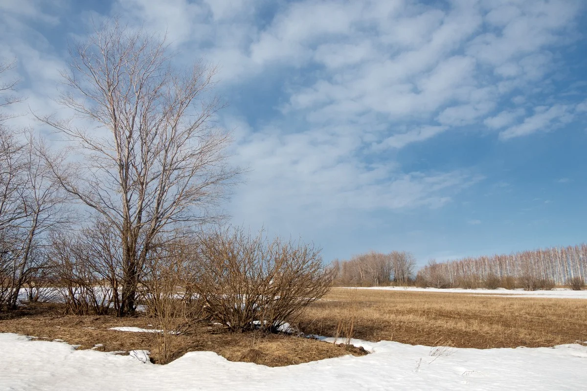 На юге до +20: прогноз погоды в Казахстане на 19 марта