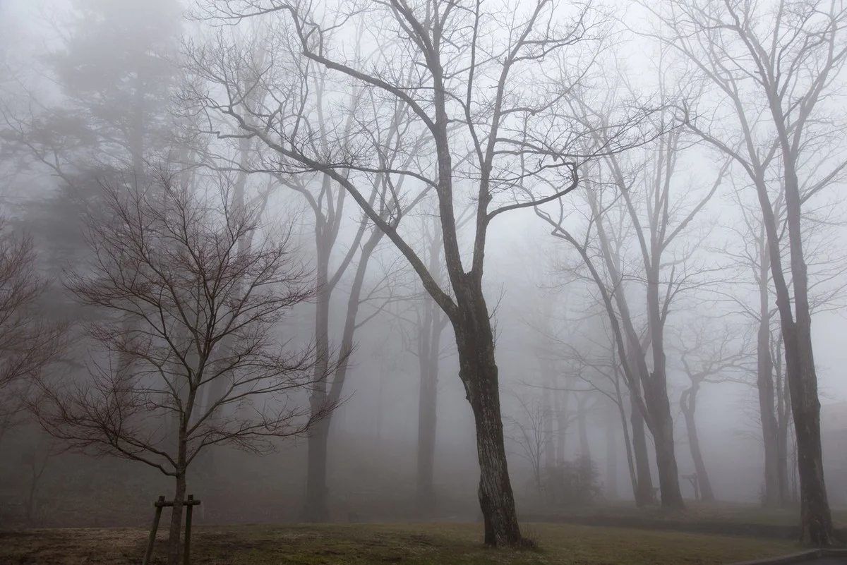 Туман и дожди: штормовое предупреждение объявили в 14 регионах Казахстана на 20 марта