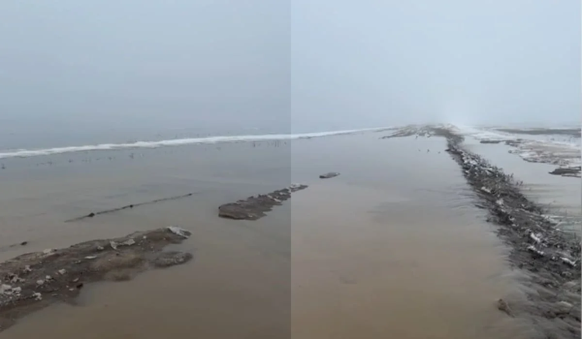 Талые воды разливаются в Западно-Казахстанской области (ВИДЕО)