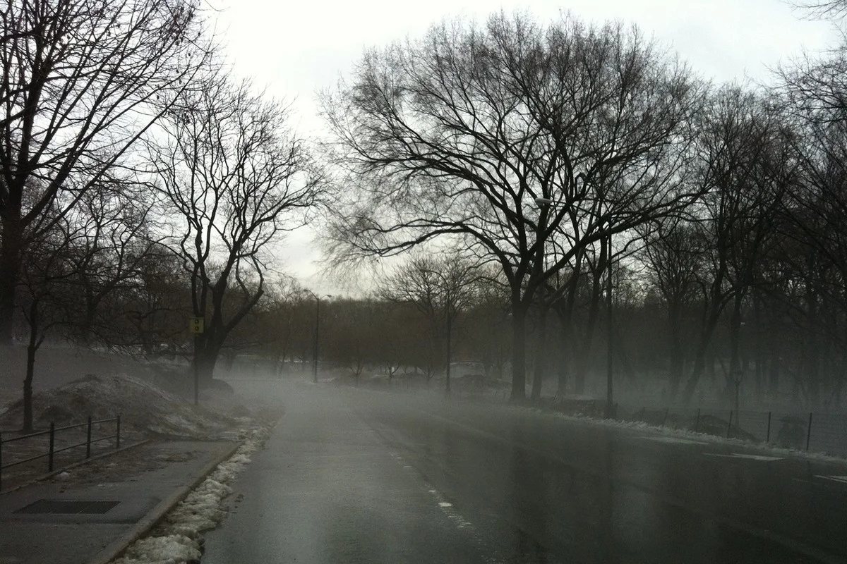 Туман и дожди с грозами: штормовое предупреждение объявили в Казахстане на 23 марта