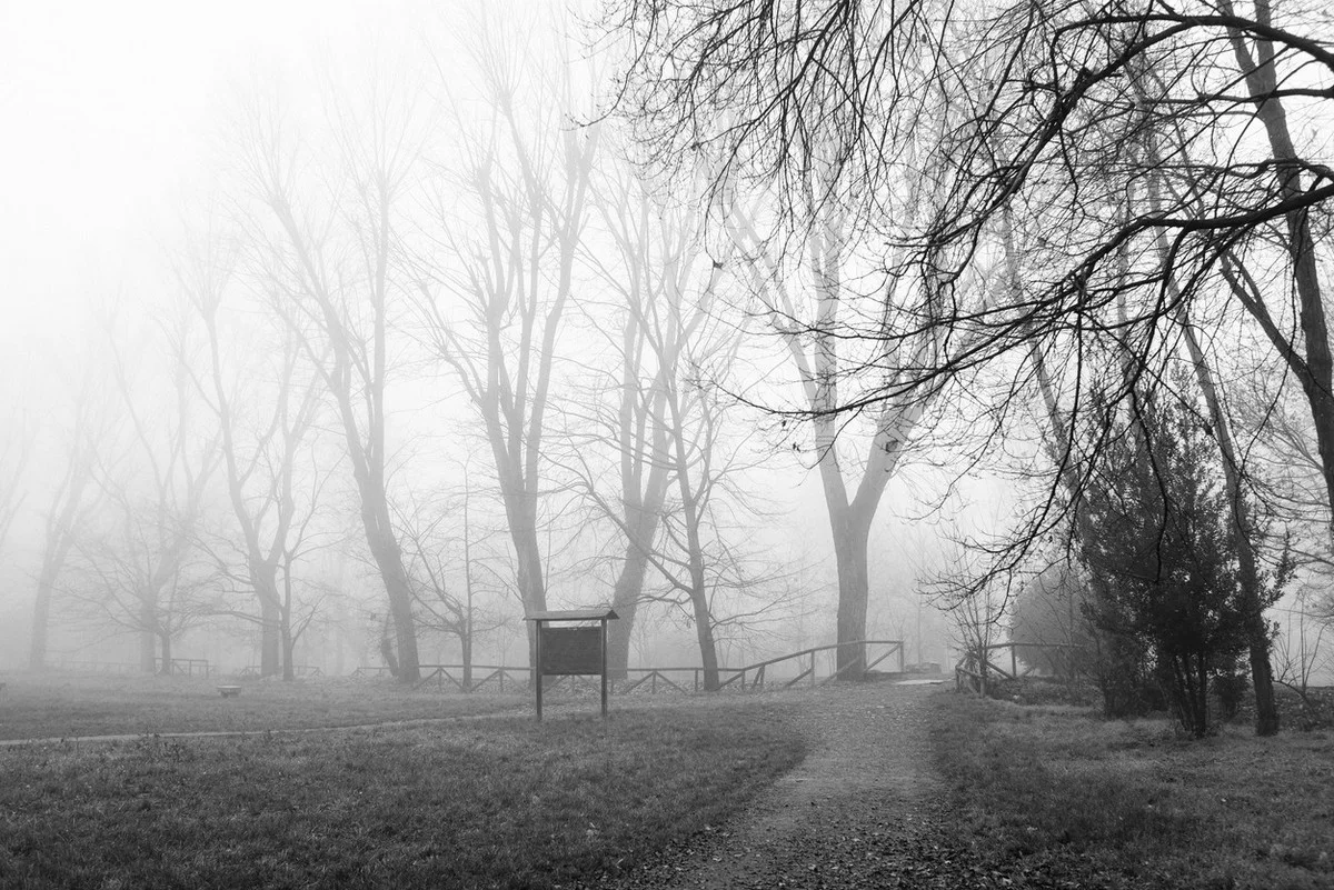 Штормовое предупреждение объявили почти по всему Казахстану на 24 марта