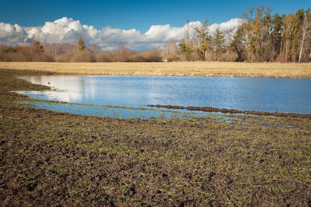 Тепло и без осадков: прогноз погоды в Казахстане на 26 марта