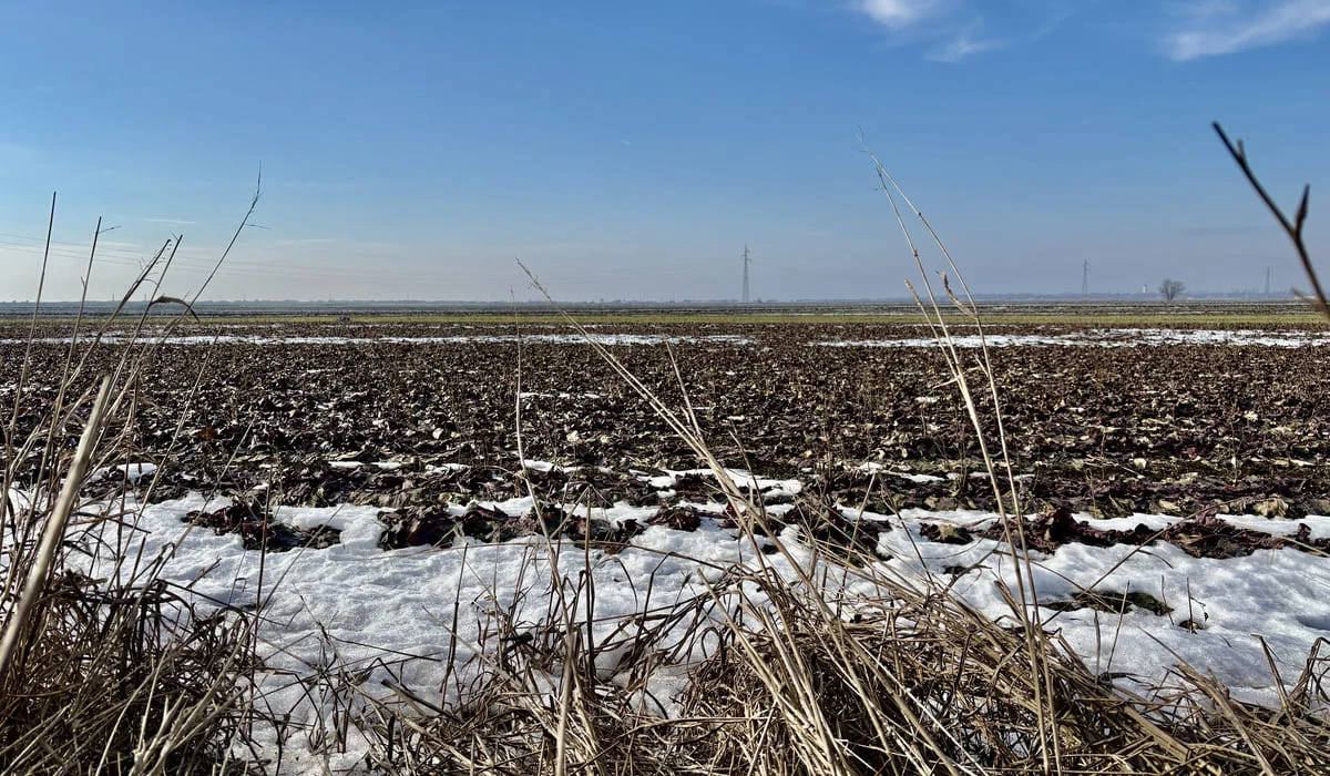 До +30 градусов: по-летнему жарко будет в Казахстане в конце марта
