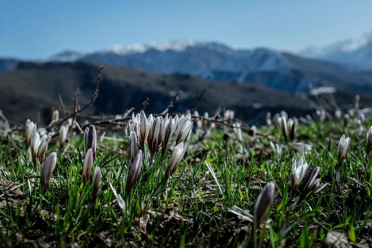 Погода без осадков ожидается в Казахстане 30 марта