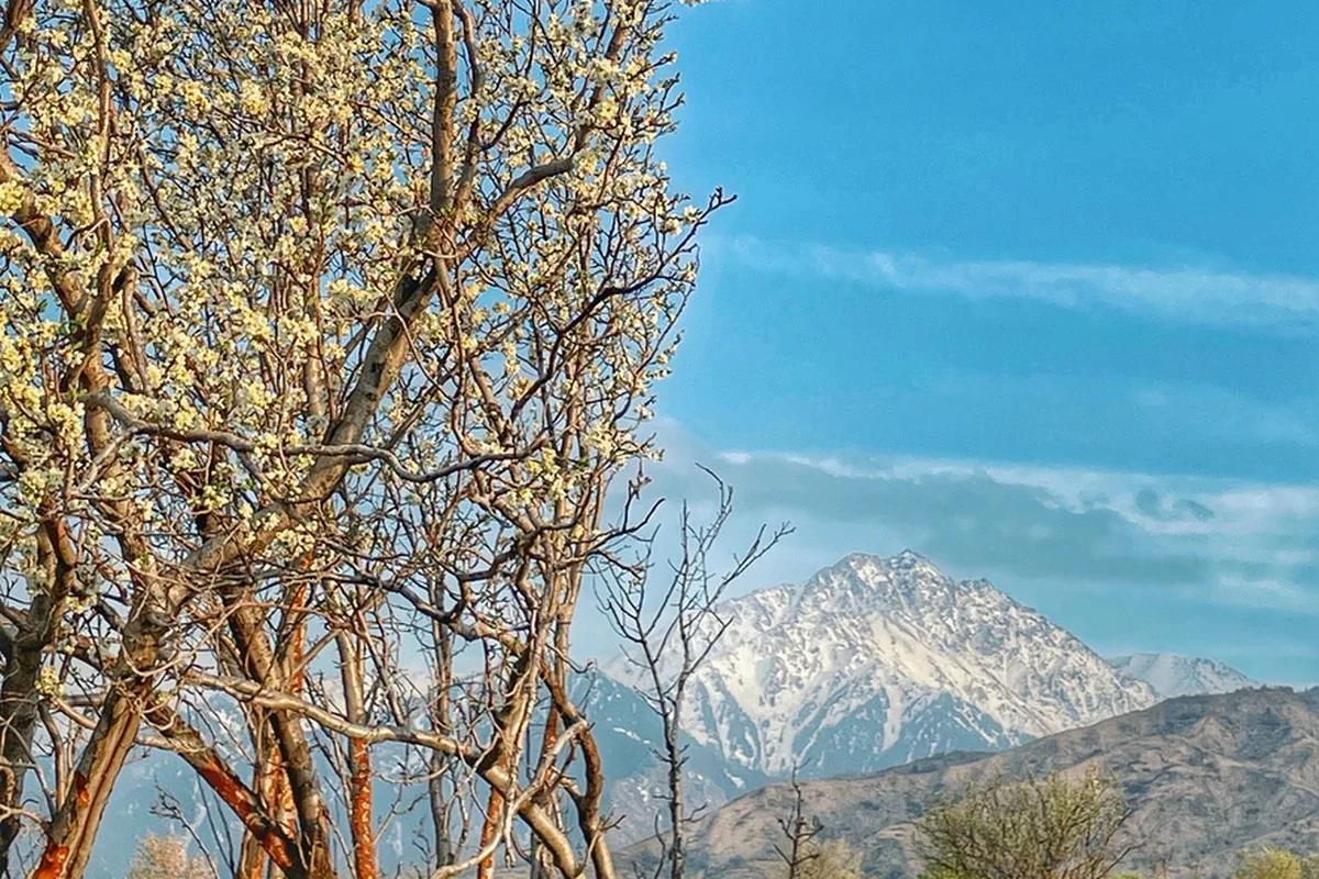 Какая погода ожидается в Казахстане 1 апреля