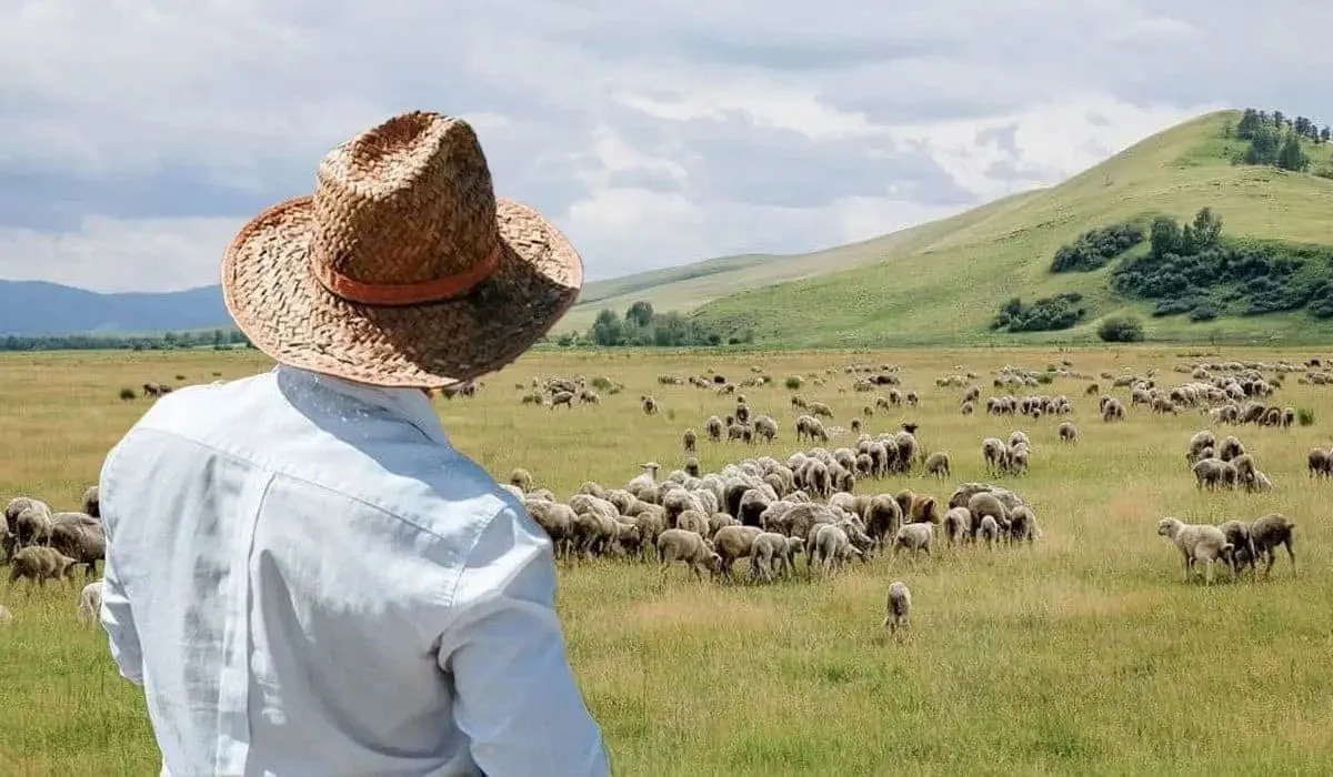 Агросектор теряет работников: мажилисмен бьет тревогу из-за нехватки кадров в сельском хозяйстве