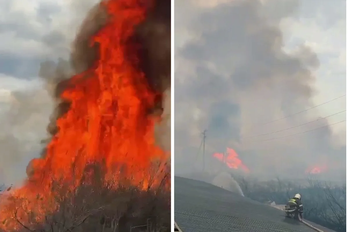Горели деревья и кустарники: крупный пожар устроил житель Кызылорды