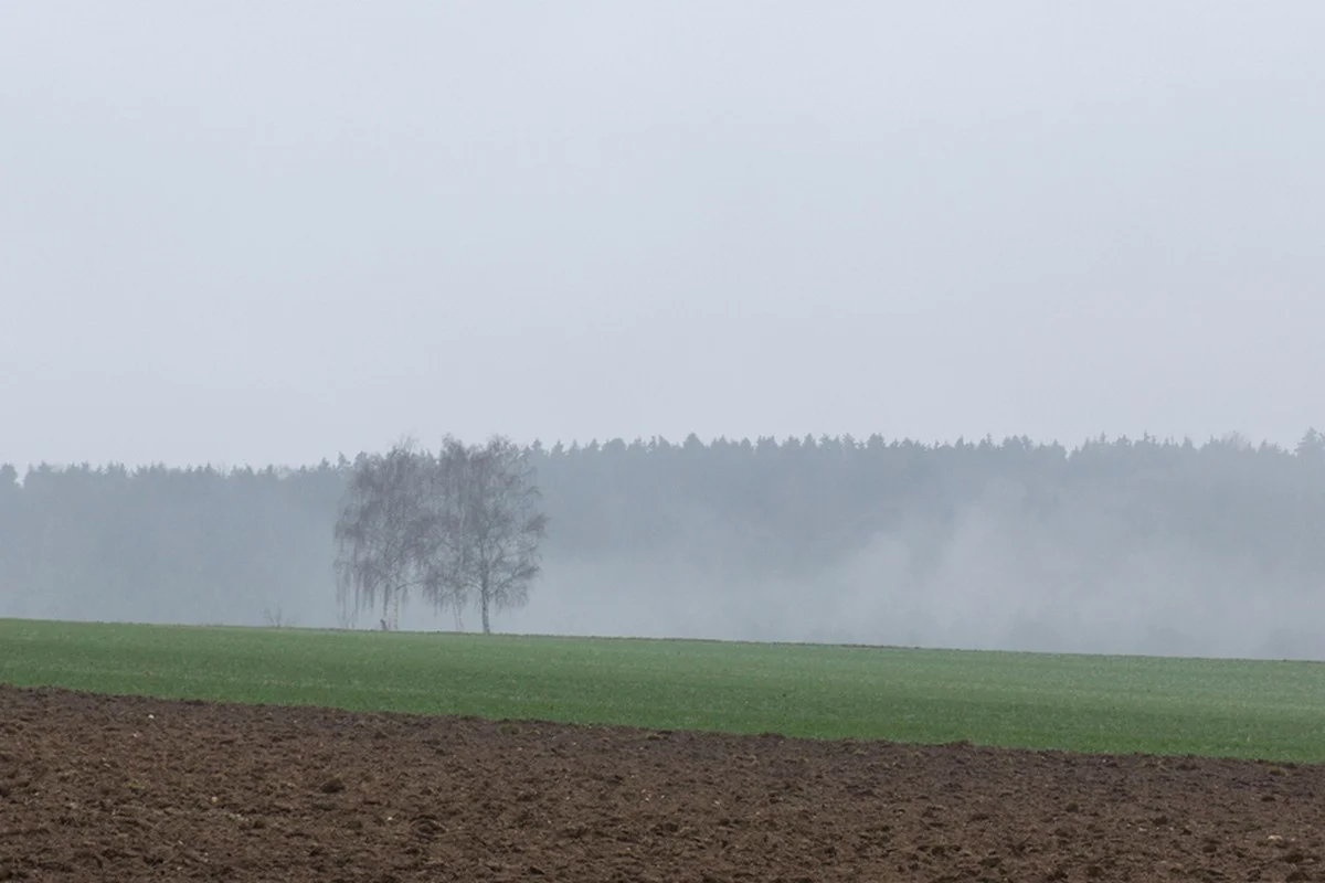 Грозы и туман: штормовое предупреждение объявили по всему Казахстану на 3 апреля