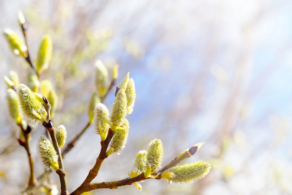 На большей части Казахстана осадков не ожидается: прогноз погоды на 3 апреля