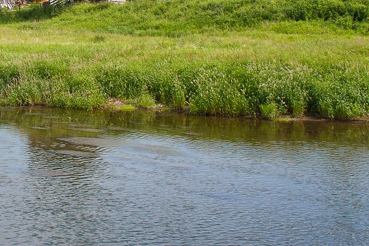 Двухлетнюю девочку унесло течением реки в Туркестанской области