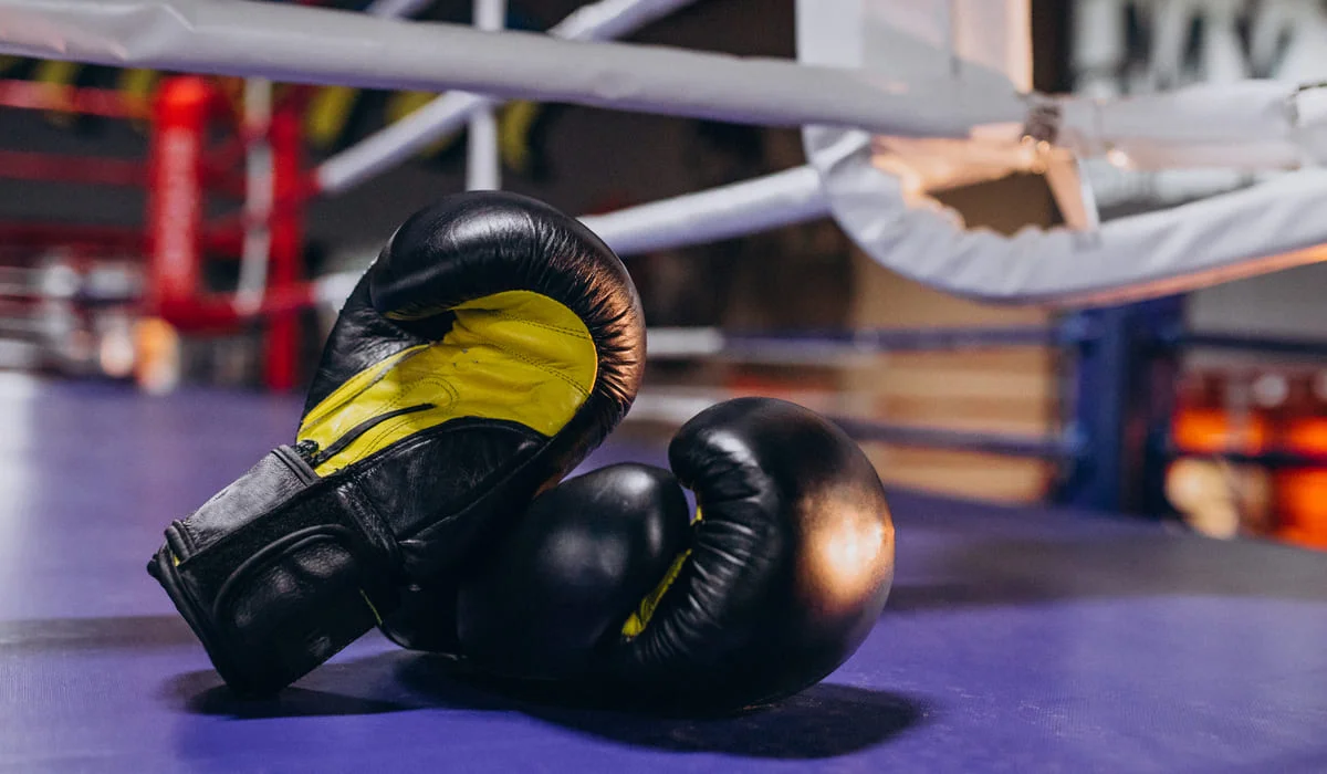 Будущее бокса в Казахстане: Минспорта раскрыло планы до 2030 года