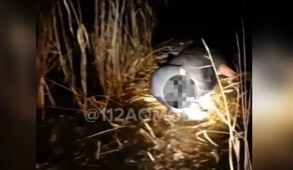 «Я жить хочу, спасите меня»: мужчину вытащили из болота в Акмолинской области (ВИДЕО)