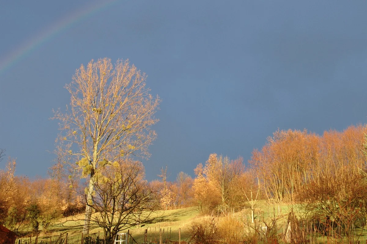 Прогноз погоды в Казахстане на 4 апреля представили синоптики