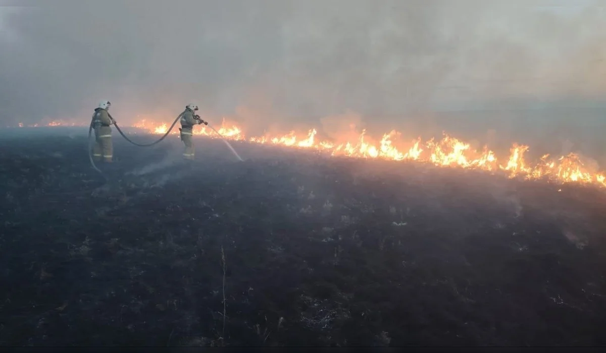 Трава вспыхнула в двух районах Акмолинской области