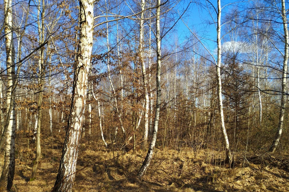 Какая погода ожидается в Казахстане 6 апреля, рассказали синоптики